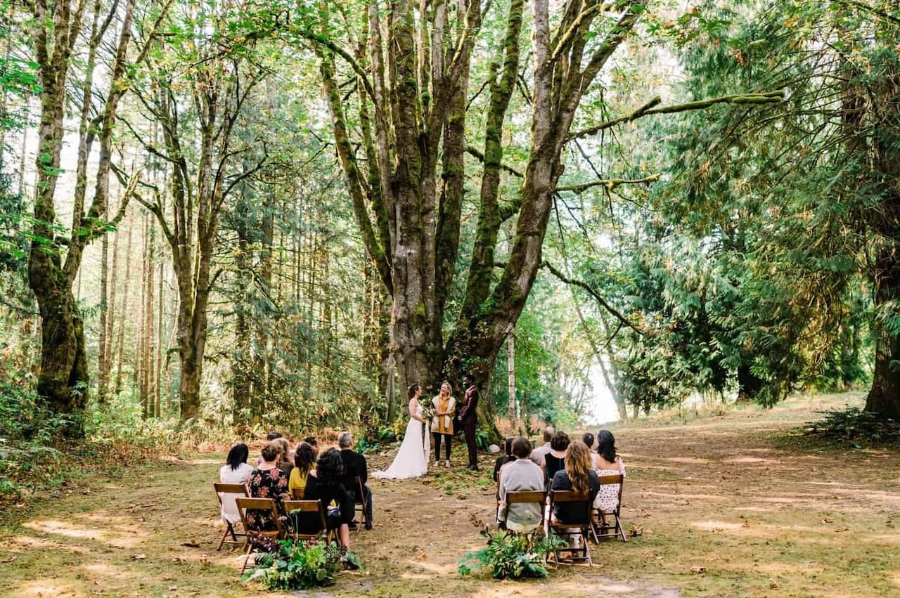 pros and cons micro weddings planning intimate venue outdoors