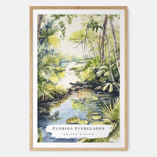 Everglades National Park Watercolor Art Print - Main - Wood Frame